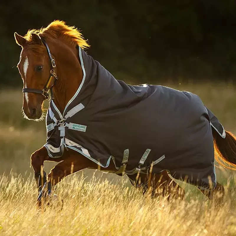 Horseware Amigo Bravo 12 Wug Medium Turnout Rug - Excalibur/Silver/Green